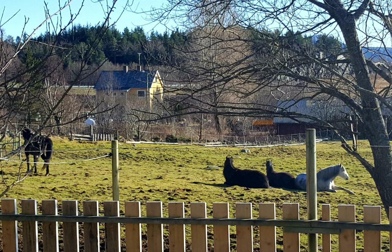 Kjorsvik Ovre Apartamento Tornes Exterior foto