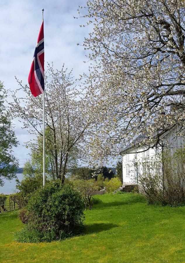 Kjorsvik Ovre Apartamento Tornes Exterior foto