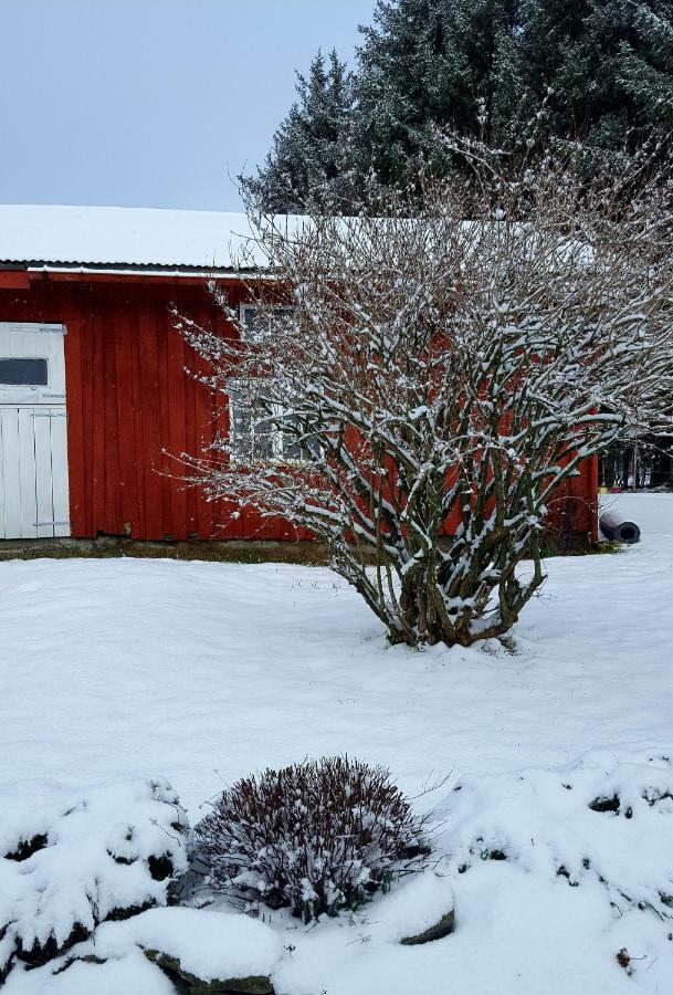 Kjorsvik Ovre Apartamento Tornes Exterior foto